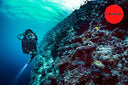 Suunto Dive EON Core - White OS / White Dive Watch/Computer